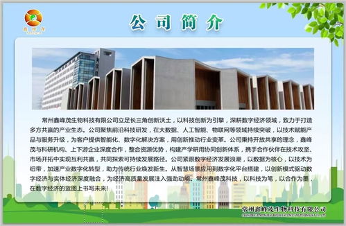 鑫峰茂 以技術(shù)服務(wù)為舟，奮力突破千層浪，勇者踏平萬重山